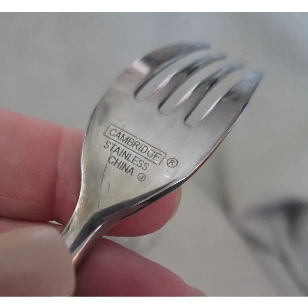 Lot 4 Cambridge TRIPOLI II SAND Stainless Salad Fork Frost Handle Flatware
